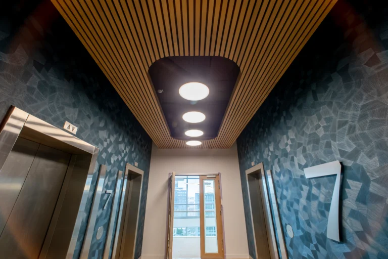 installation-des-ascenceurs-dun-batiment-professionnel