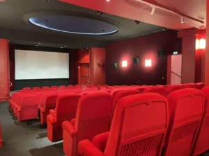 Pilotage des travaux en contractant général pour un cinéma parisien