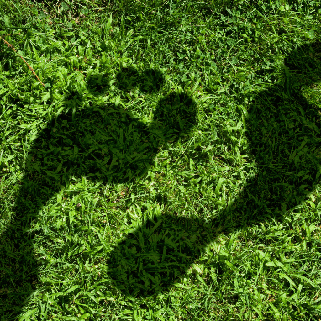 Représentation empreinte carbone en entreprise