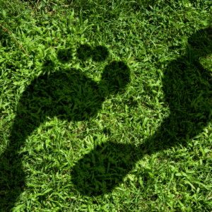 Représentation empreinte carbone en entreprise